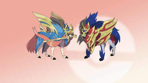 Sword & Shield